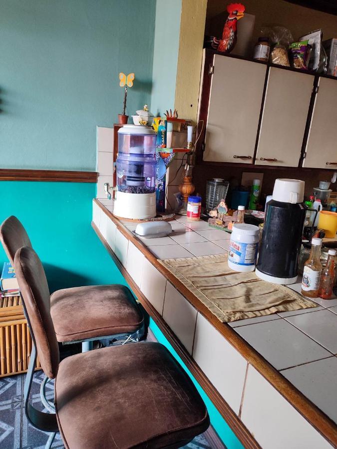 The Cozy Cactus House B&B Cartago Centro English Spoken Esterno foto